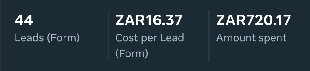 Screenshot of Meta Ads results